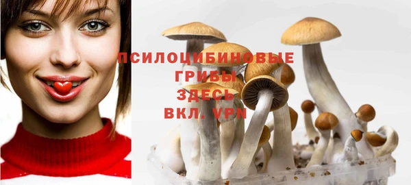 крисы Аркадак