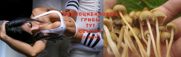первитин Арсеньев