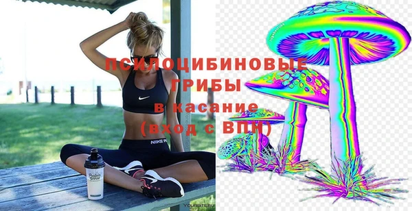 первитин Арсеньев