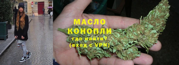 индика Армянск